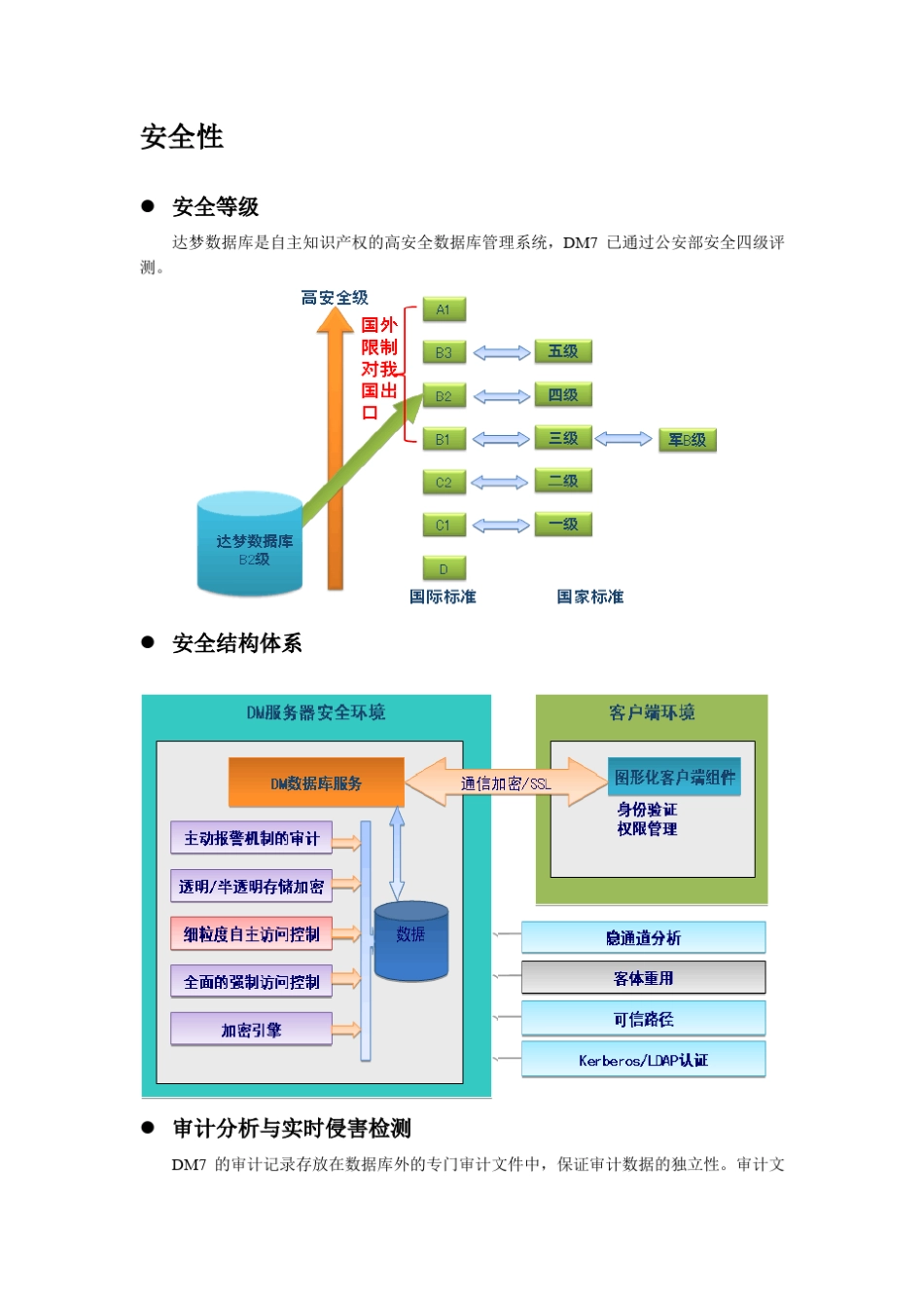 DM7技术白皮书_第3页