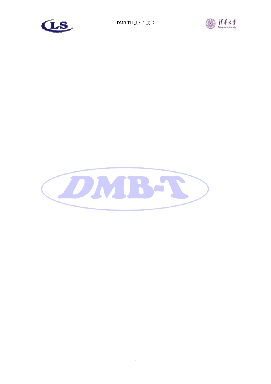 DMBTH白皮书_第3页