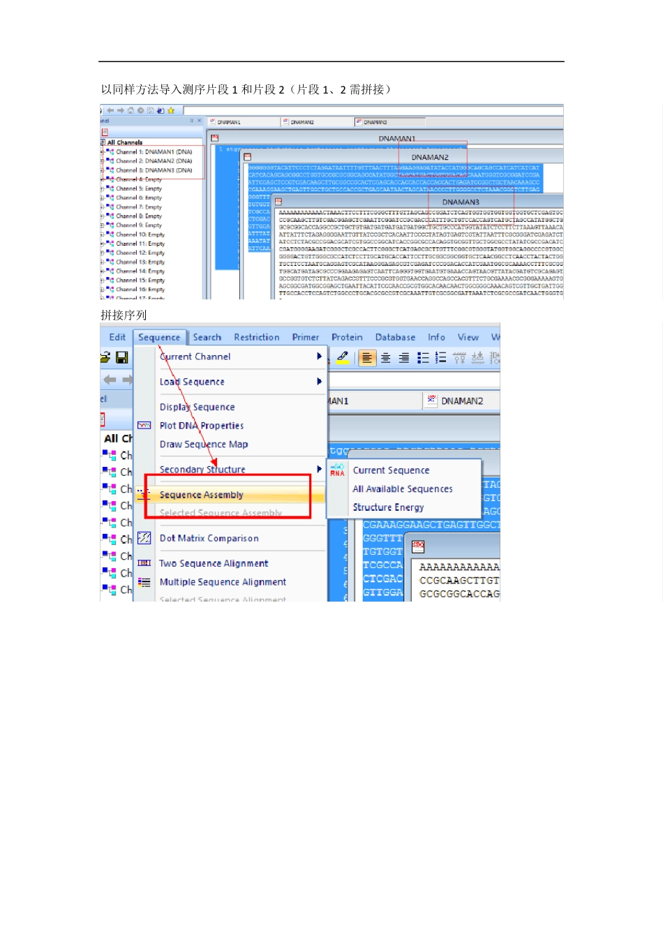 DNAman8序列比对、序列拼接图文教程_第2页