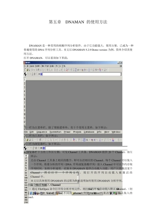 DNAMAN使用图解