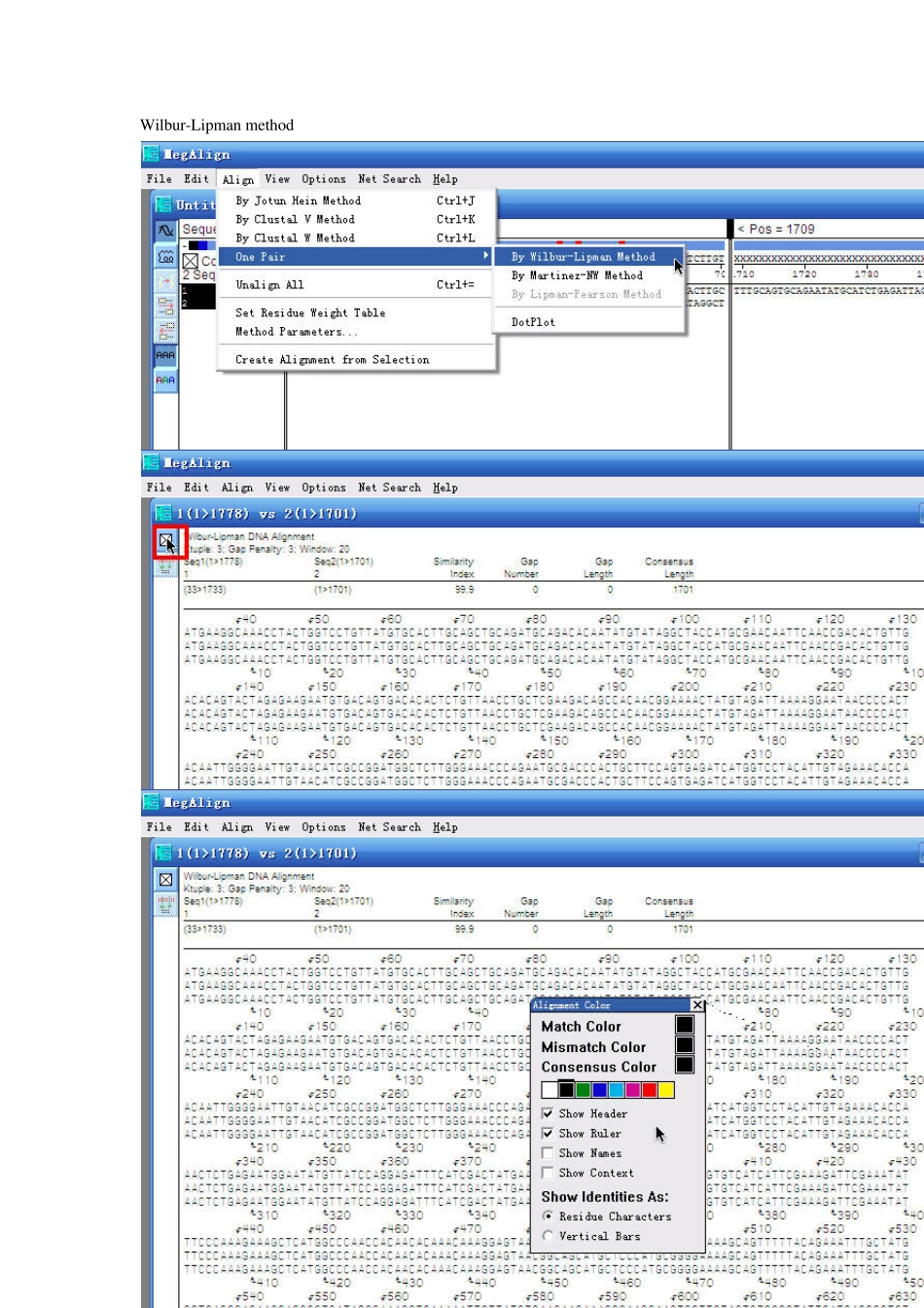DNAstarMegalign入门篇_第2页