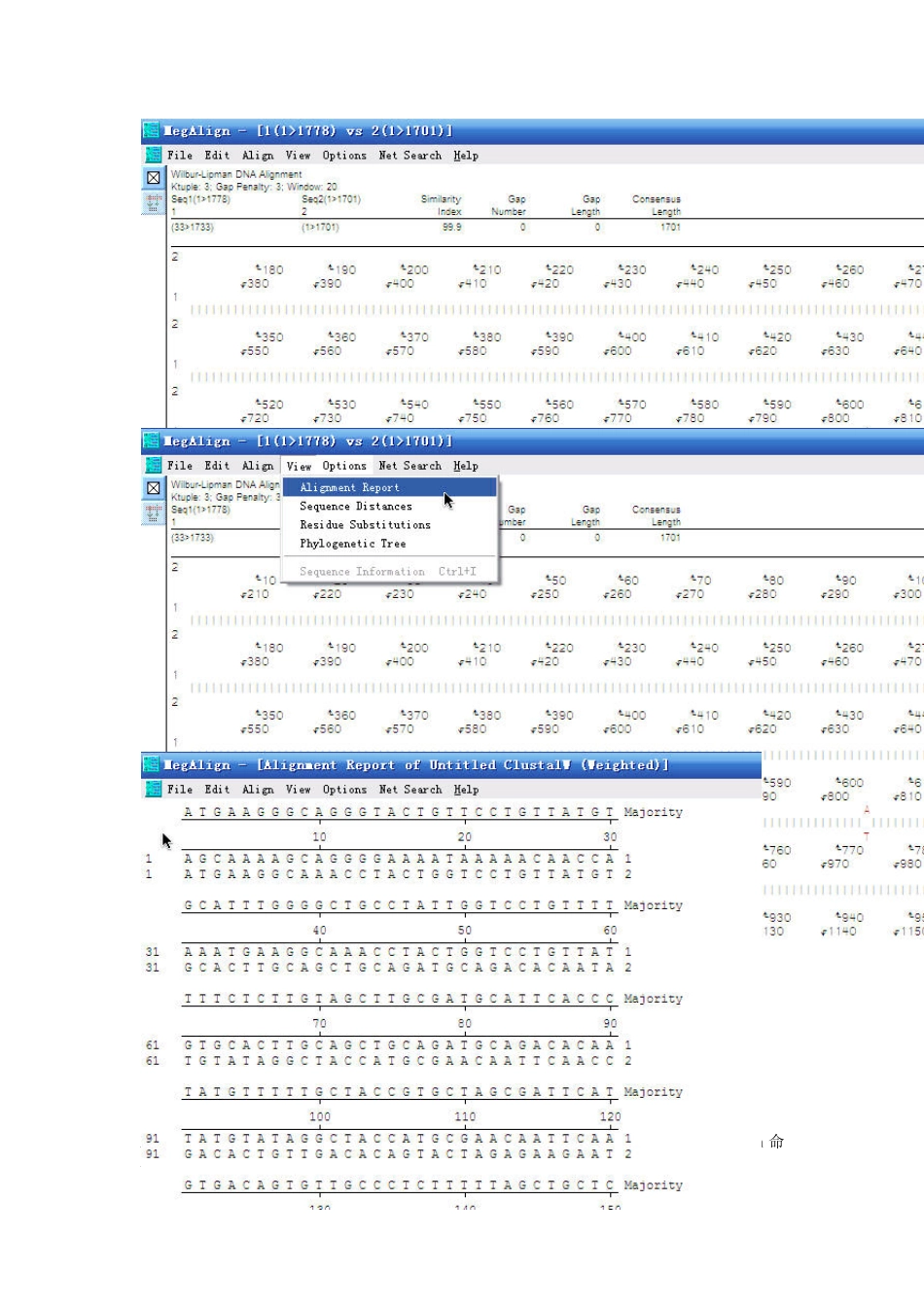 DNAstarMegalign入门篇_第3页