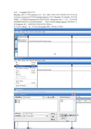 DNAstarMegalign入门篇