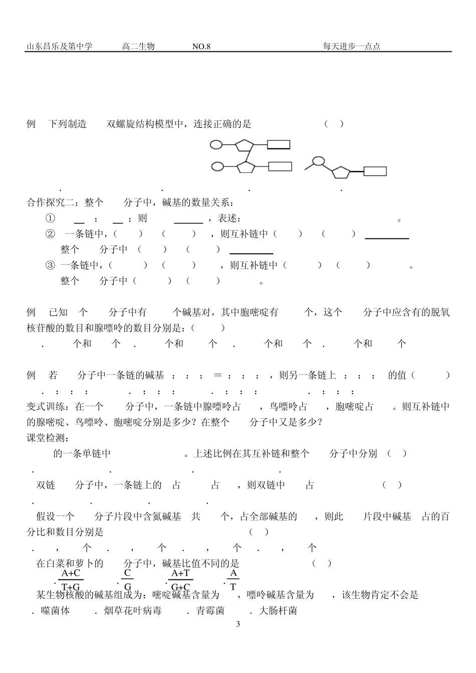 DNA分子结构导学案_第3页