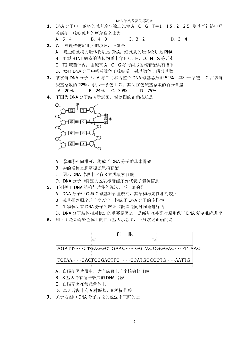 DNA分子结构,复制习题_第1页