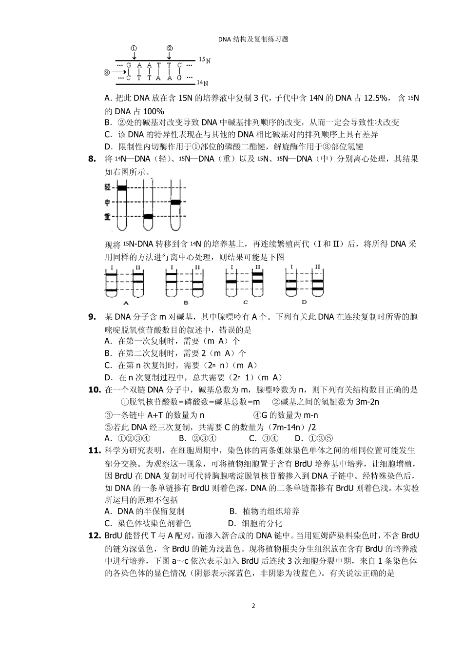 DNA分子结构,复制习题_第2页