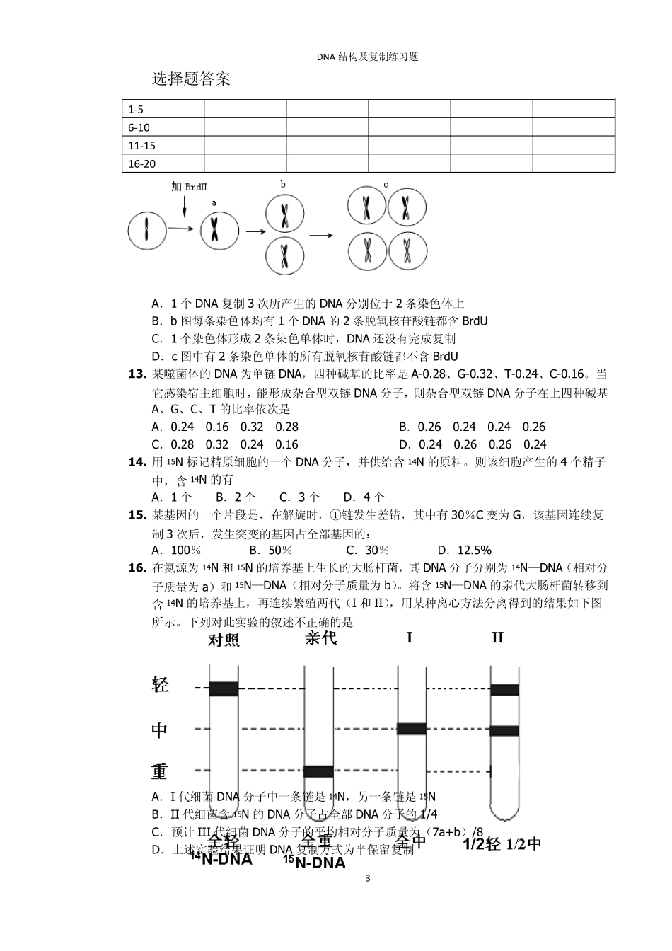 DNA分子结构,复制习题_第3页