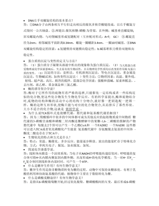 DNA右手双螺旋结构的基本要点