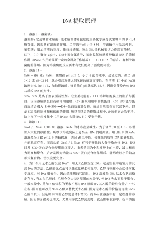 DNA提取原理