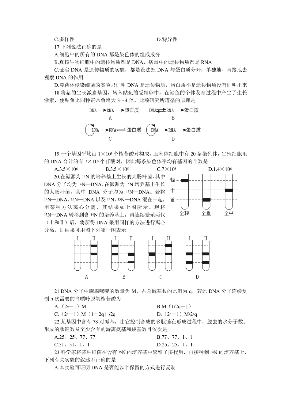 DNA是主要的遗传物质DNA的结构和复制_第3页