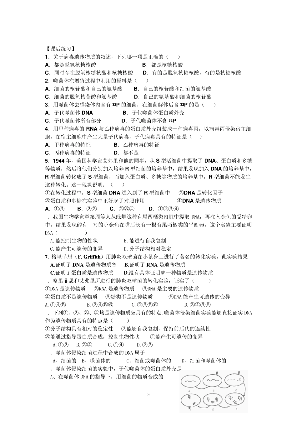 DNA是主要的遗传物质学案_第3页