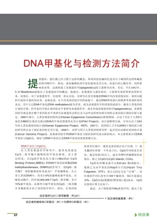 DNA甲基化与检测方法简介