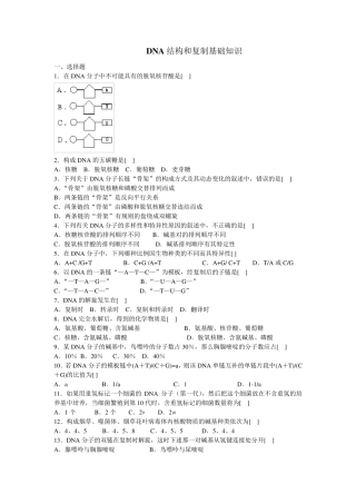 DNA结构及复制练习题