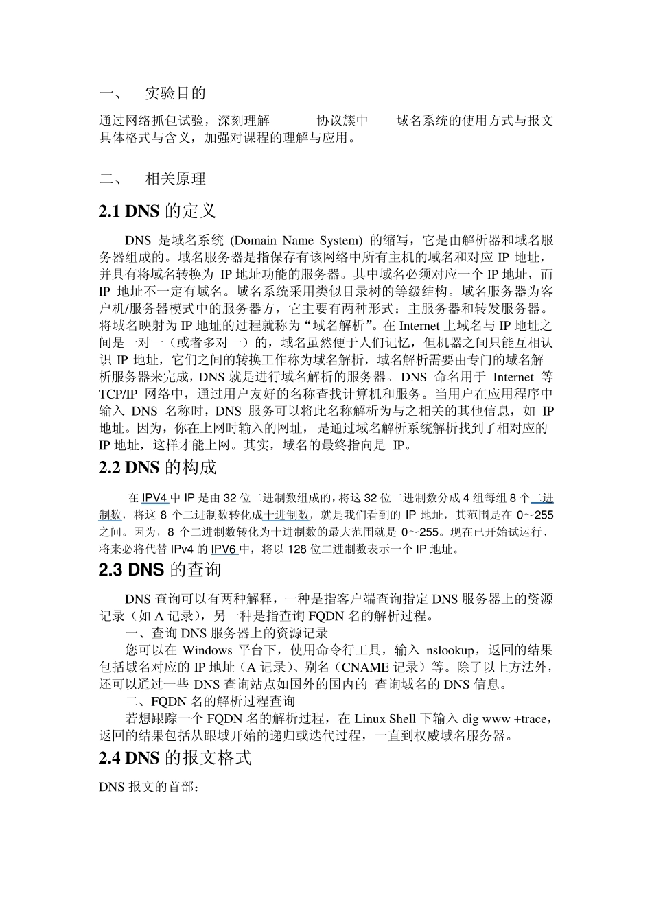 DNS抓包分析_第2页
