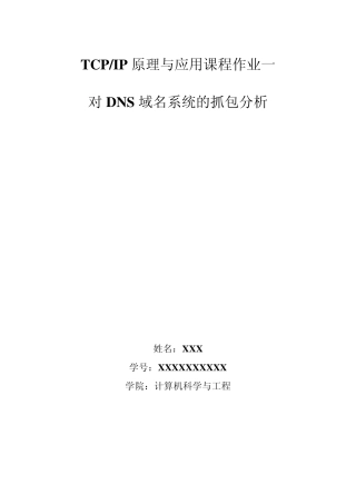 DNS抓包分析