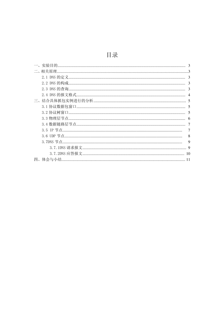 DNS抓包分析详细教程_第2页