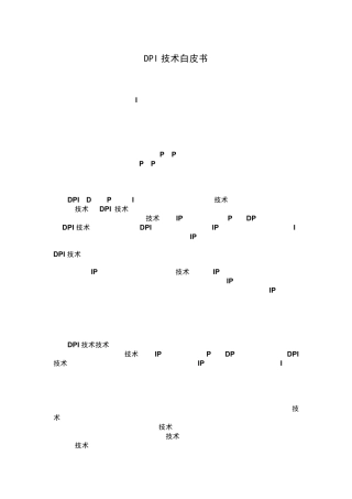 DPI技术白皮书