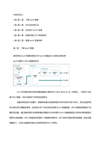 DPP完整教程