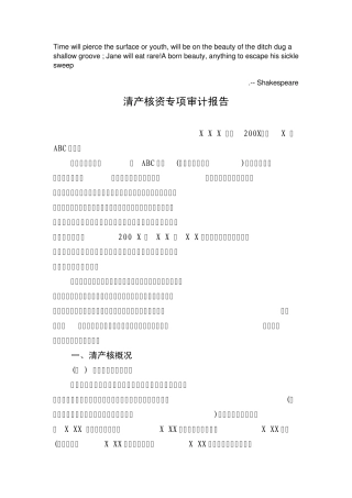 Dqnvqza清产核资专项审计报告