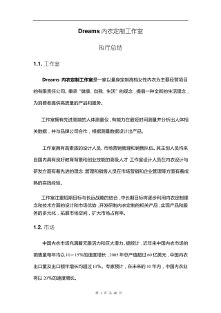 Dreams内衣定制工作室——创业计划书