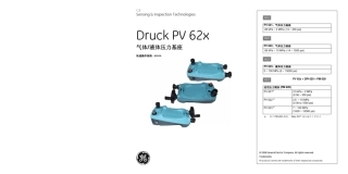 DruckPV62x气体液体压力基座快速操作指南