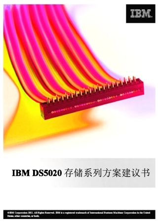 DS5020存储系列方案建议书_final