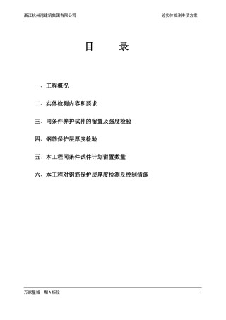 实体检测专项方案_星