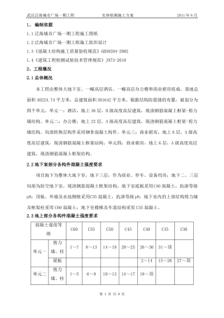 实体检测施工方案