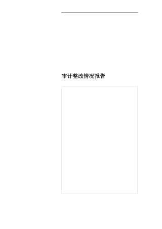 审计整改情况报告