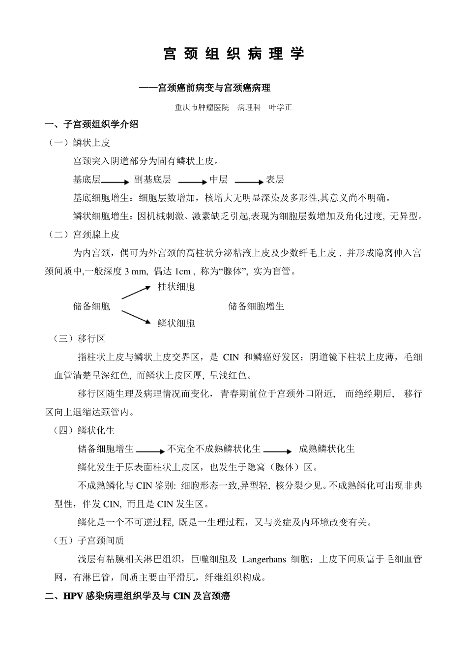 宫颈组织病理学_第1页