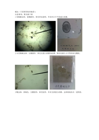 寄生虫试验鉴别要点
