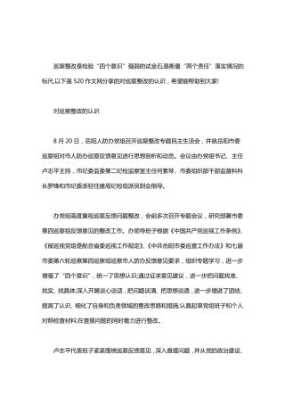 对巡察整改的认识