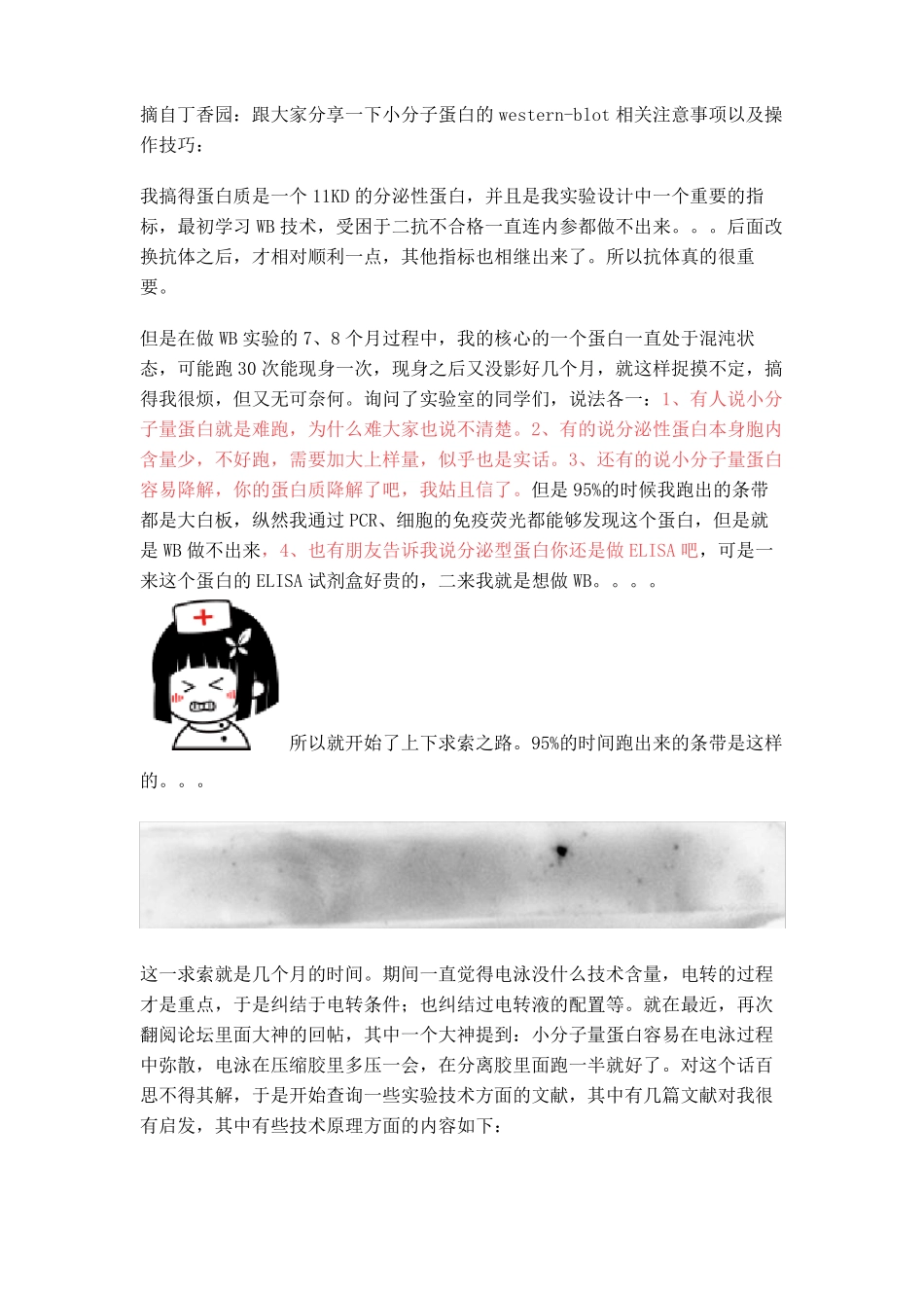 小分子蛋白western注意事项及操作技巧_第1页