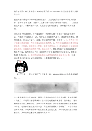 小分子蛋白western注意事项及操作技巧