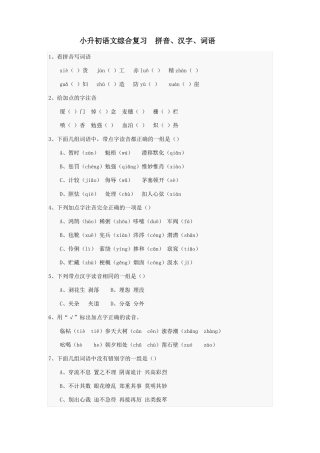 小升初语文___拼音、汉字、词语