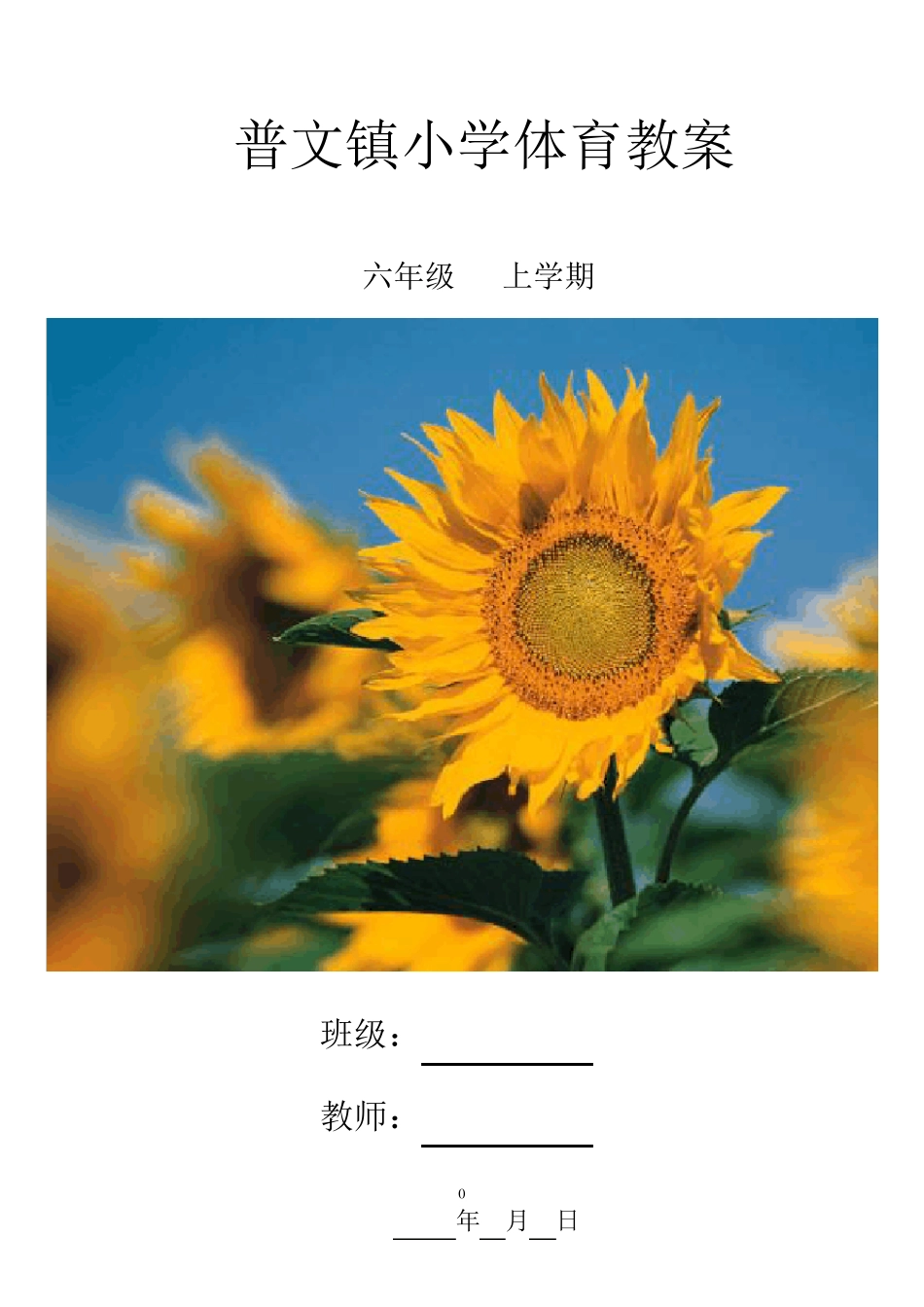 小学体育六年级下册体育教案_第1页