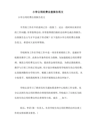 小学公用经费自查报告范文