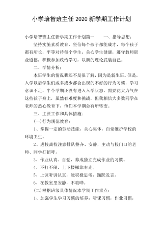 小学培智班主任2020新学期工作计划