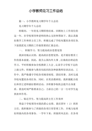 小学教师见习工作总结