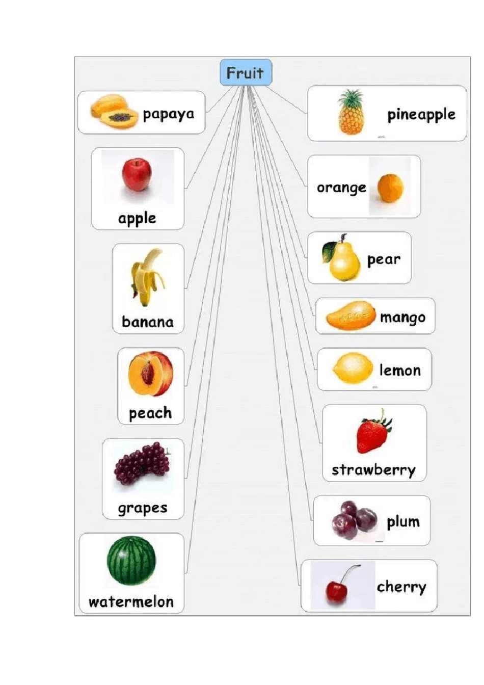 小学英语思维导图_第3页