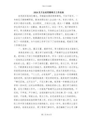 2024见习生试用期转正工作总结