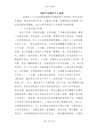 2024计生统计个人总结