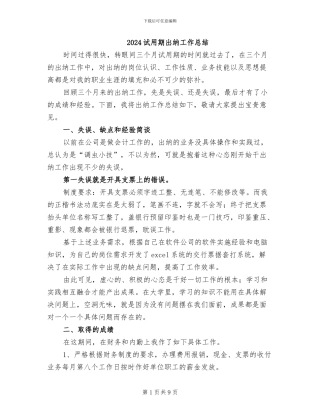 2024试用期出纳工作总结