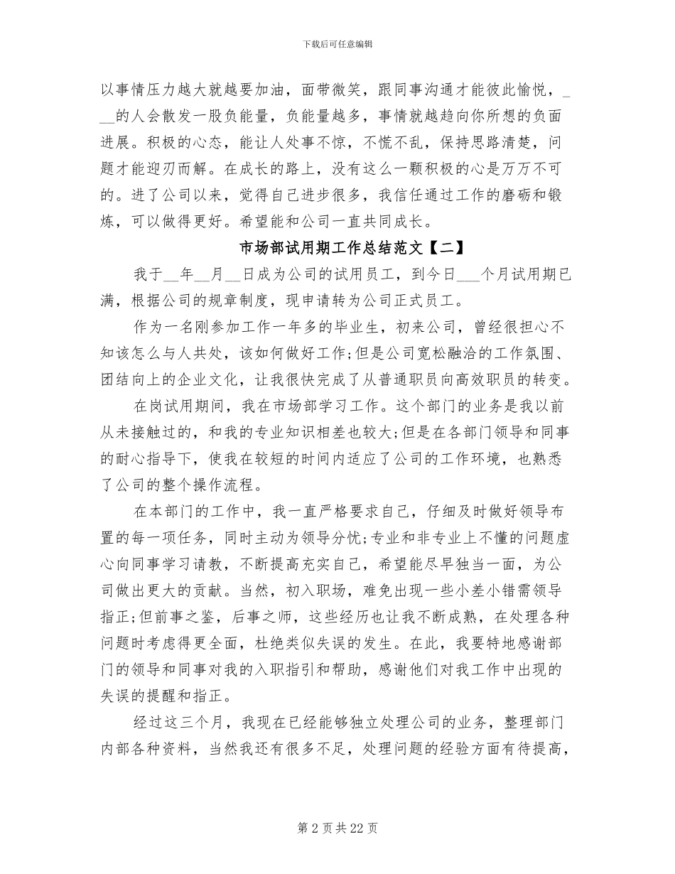 2024试用期工作总结范本_第2页