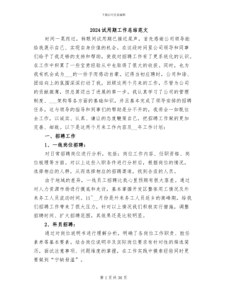 2024试用期工作总结范文