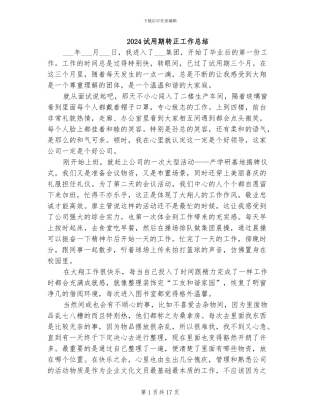 2024试用期转正工作总结