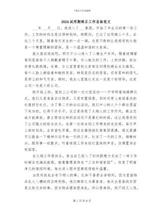 2024试用期转正工作总结范文