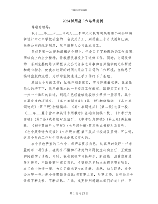 2024试用期工作总结范例