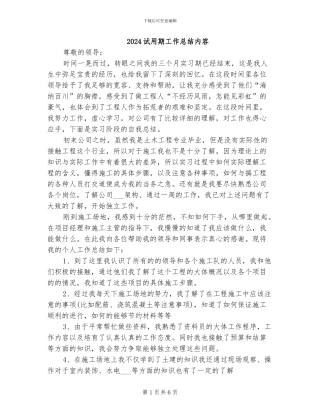 2024试用期工作总结内容