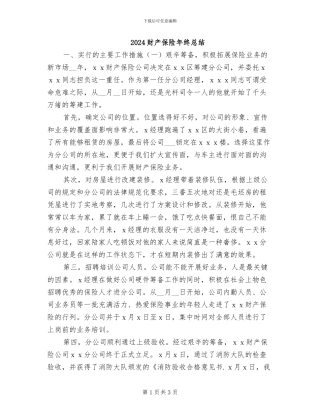 2024财产保险年终总结